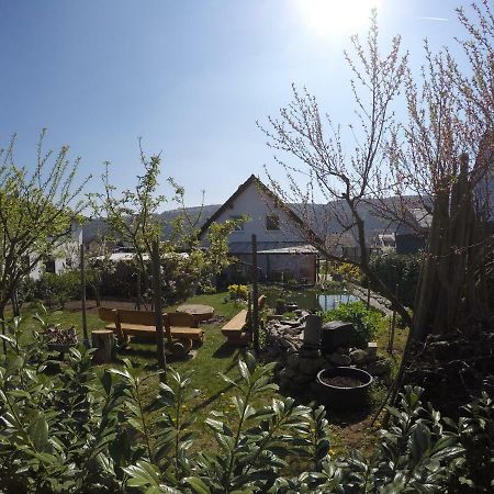 Moselie Ferienwohnung Kinheim Mosel 外观 照片