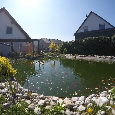 Moselie Ferienwohnung Kinheim Mosel 外观 照片