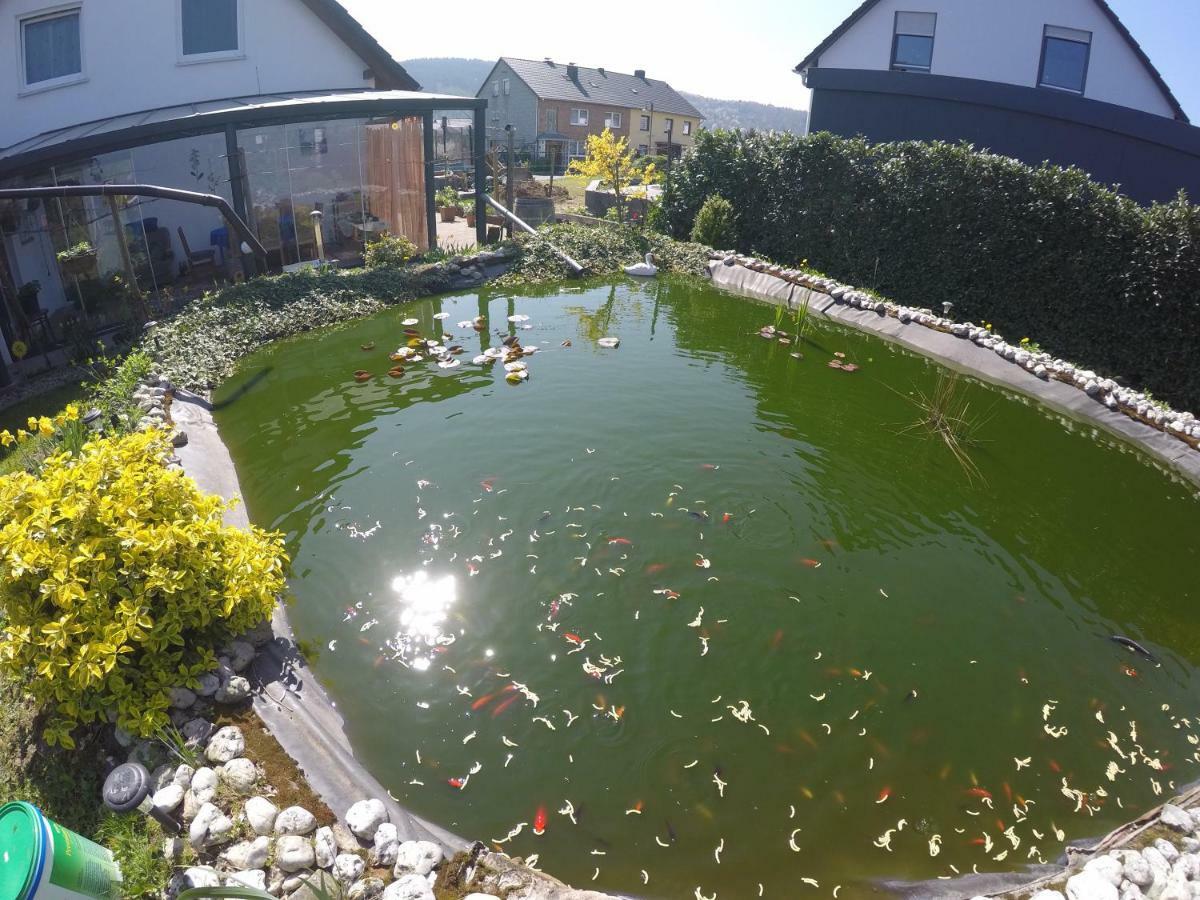 Moselie Ferienwohnung Kinheim Mosel 外观 照片